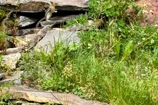 137127 Main St, Crescent, OR 97733 - Photo 22