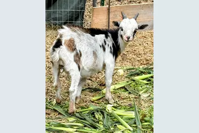 137127 Main Street, Crescent, OR 97733 - Photo 44