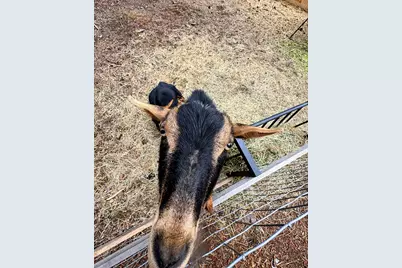 137127 Main Street, Crescent, OR 97733 - Photo 38