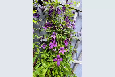 137127 Main Street, Crescent, OR 97733 - Photo 46