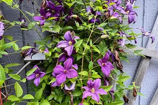 137127 Main St, Crescent, OR 97733 - Photo 46