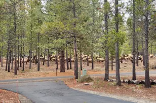 17839 Lava Butte Ln, Sunriver, OR 97707 - Photo 32