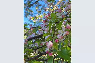 129 Henry Street, Klamath Falls, OR 97601 - Photo 30