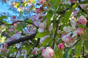 129 Henry St, Klamath Falls, OR 97601 - Photo 30