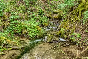 2922 Anderson Creek Rd, Talent, OR 97540 - Photo 36