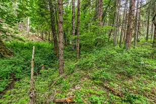 2922 Anderson Creek Rd, Talent, OR 97540 - Photo 40