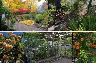 139 N Wightman St, Ashland, OR 97520 - Photo 2