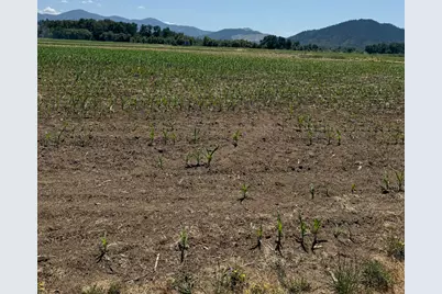 6181 Lower River Road, Grants Pass, OR 97526 - Photo 24