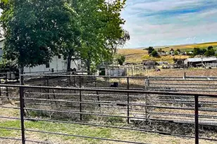 260 N E St, Lexington, OR 97839 - Photo 4