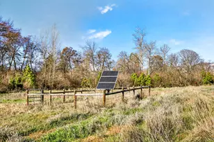 4201 Hwy 66, Ashland, OR 97520 - Photo 4