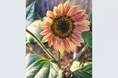 1540 NE Bear Creek Road, Bend, OR 97701 - Photo 42