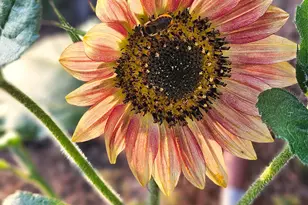 1540 NE Bear Creek Rd, Bend, OR 97701 - Photo 42