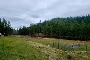 11000 Oregon 227, Trail, OR 97541 - Photo 12