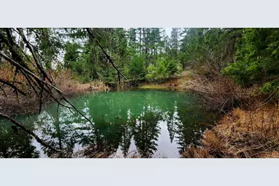 11000 Oregon 227, Trail, OR 97541 - Photo 34