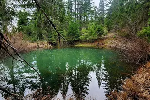 11000 Oregon 227, Trail, OR 97541 - Photo 34