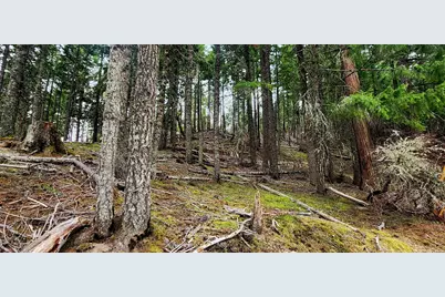 11000 Oregon 227, Trail, OR 97541 - Photo 16