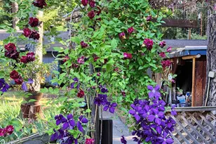 260 McMullen Creek Rd, Selma, OR 97538 - Photo 64