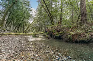 260 McMullen Creek Rd, Selma, OR 97538 - Photo 68