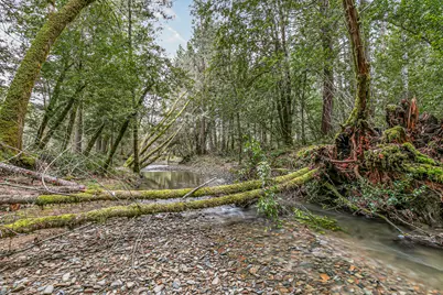 260 McMullen Creek Road, Selma, OR 97538 - Photo 72