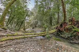 260 McMullen Creek Rd, Selma, OR 97538 - Photo 72