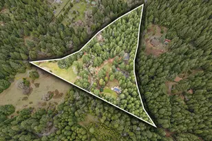 260 McMullen Creek Rd, Selma, OR 97538 - Photo 4