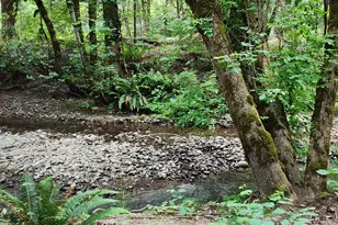 260 McMullen Creek Rd, Selma, OR 97538 - Photo 62