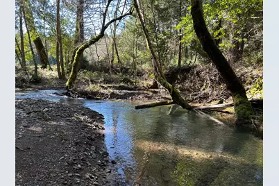 260 McMullen Creek Road, Selma, OR 97538 - Photo 56