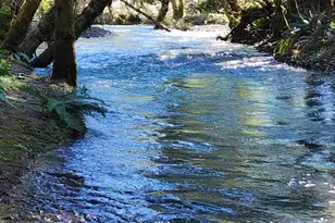 260 McMullen Creek Rd, Selma, OR 97538 - Photo 64