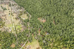 260 McMullen Creek Rd, Selma, OR 97538 - Photo 82