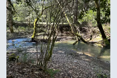 260 McMullen Creek Road, Selma, OR 97538 - Photo 60
