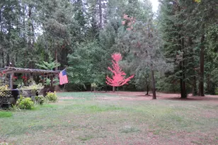 260 McMullen Creek Rd, Selma, OR 97538 - Photo 68