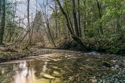 260 McMullen Creek Road, Selma, OR 97538 - Photo 68