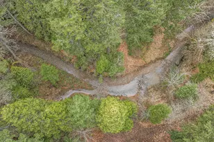 260 McMullen Creek Rd, Selma, OR 97538 - Photo 84