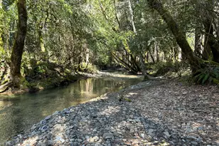 260 McMullen Creek Rd, Selma, OR 97538 - Photo 60