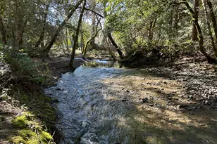 260 McMullen Creek Rd, Selma, OR 97538 - Photo 58