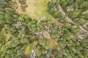 260 McMullen Creek Rd, Selma, OR 97538 - Photo 76