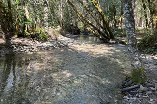 260 McMullen Creek Rd, Selma, OR 97538 - Photo 60