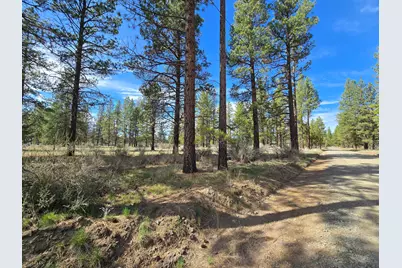 Keno Springs Road #25, Bonanza, OR 97623 - Photo 6