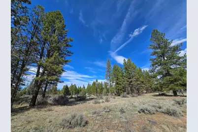 Keno Springs Road #25, Bonanza, OR 97623 - Photo 10