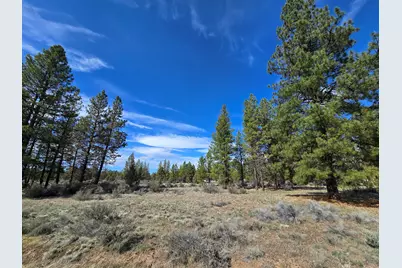 Keno Springs Road #25, Bonanza, OR 97623 - Photo 8
