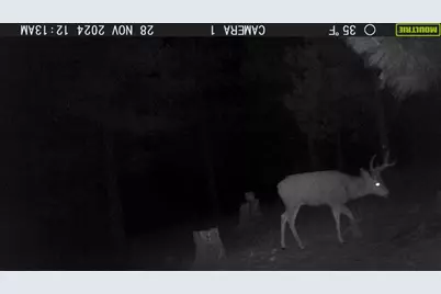 31367 Clarks Creek Road, John Day, OR 97845 - Photo 6