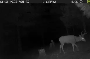 31367 Clarks Creek Rd, John Day, OR 97845 - Photo 6