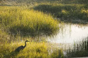 17157 Wood Duck Ct, Bend, OR 97707 - Photo 36