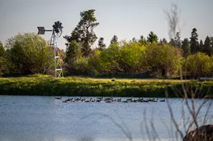 52255 Huntington Rd, La Pine, OR 97739 - Photo 46