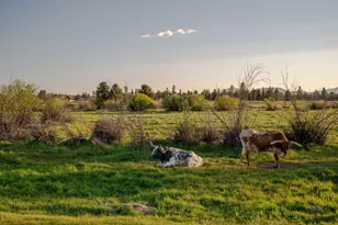 52255 Huntington Rd, La Pine, OR 97739 - Photo 66