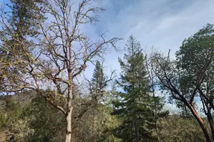 11238 E Evans Creek Rd, Rogue River, OR 97537 - Photo 46