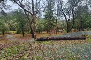 11238 E Evans Creek Rd, Rogue River, OR 97537 - Photo 32