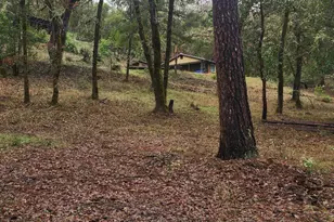 11238 E Evans Creek Rd, Rogue River, OR 97537 - Photo 30