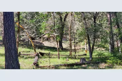 11238 E Evans Creek Road, Rogue River, OR 97537 - Photo 16