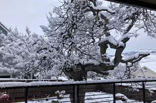 551 Sutton Pl, Ashland, OR 97520 - Photo 44